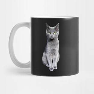 Russian Blue Cat Kitten Mug